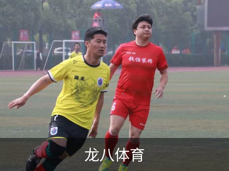 了解龙八体育
